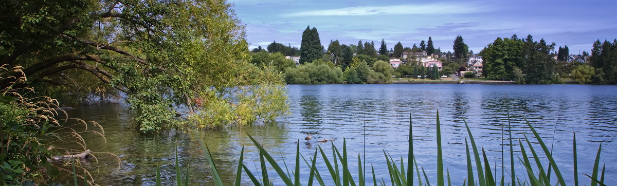 Green Lake in Seattle