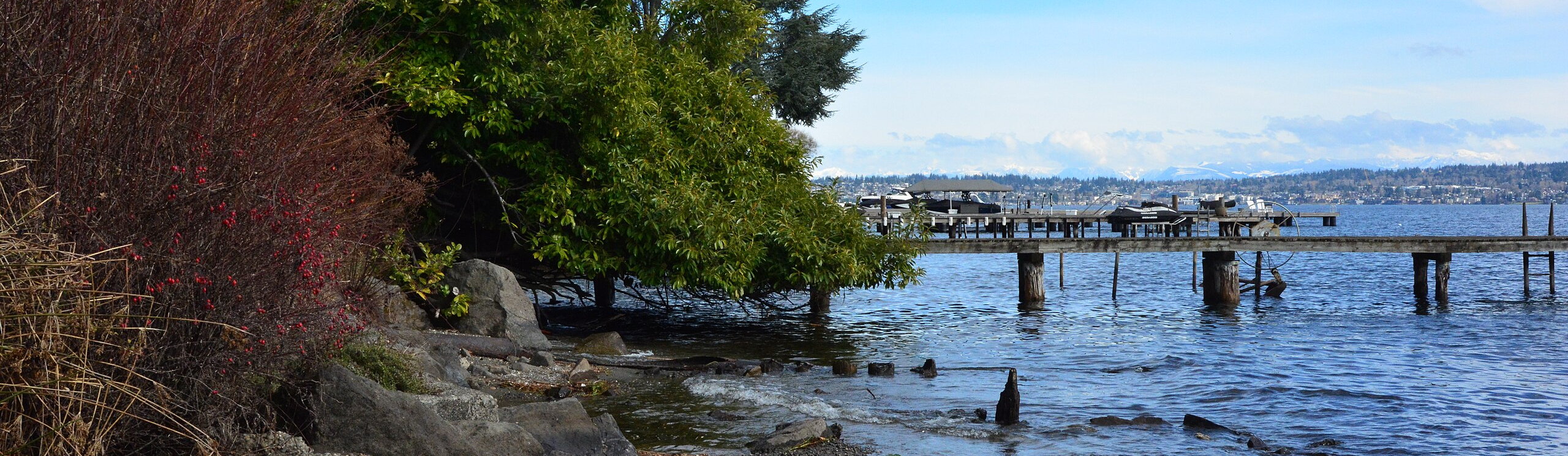 Laurelhurst_banner