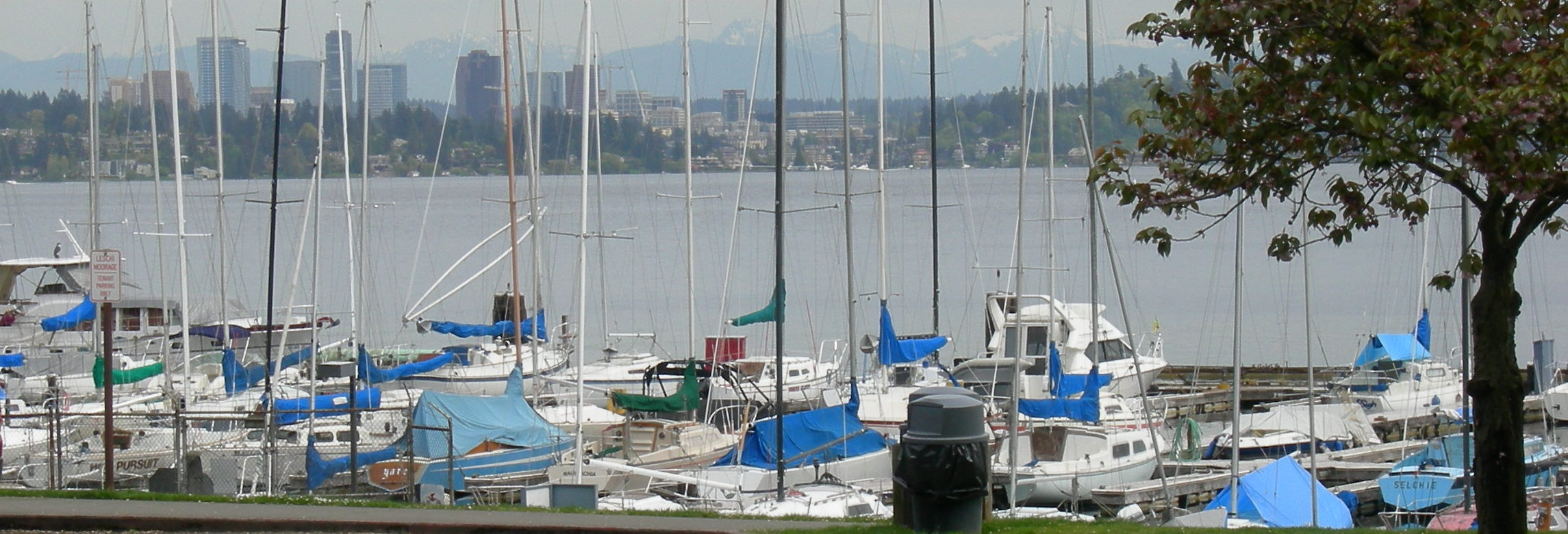 Leschi1_banner
