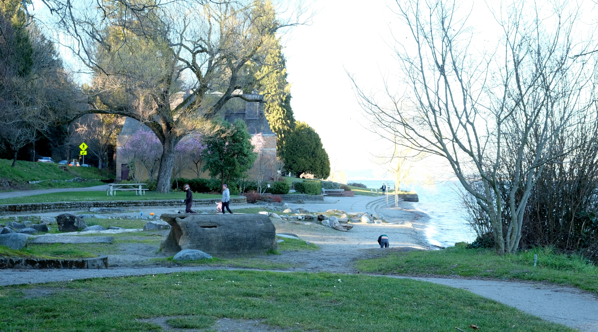 Madrona_Park4