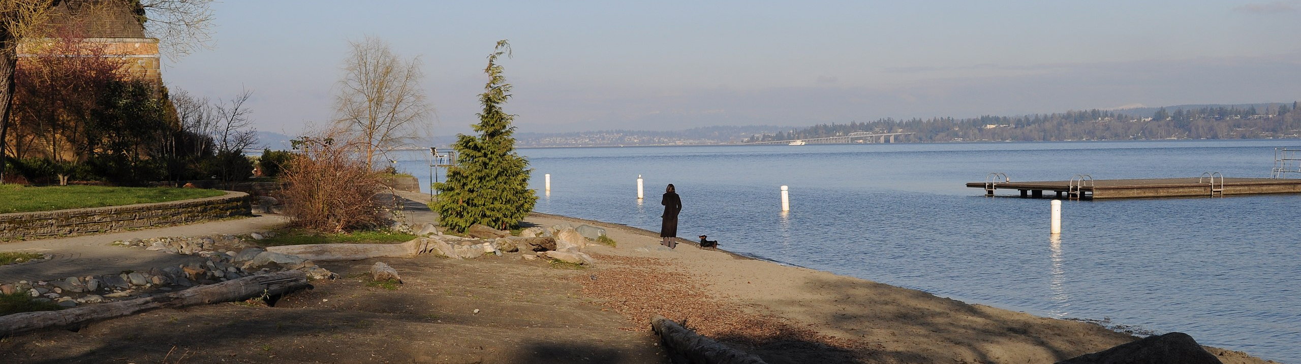 Madrona_Park_banner