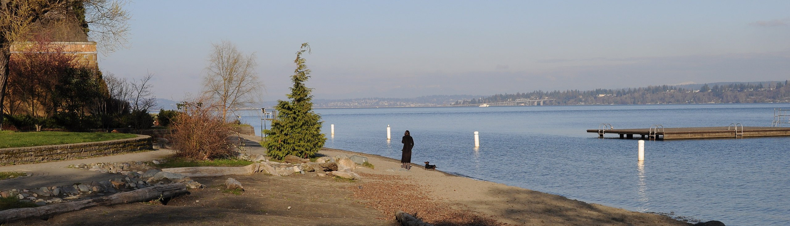 Madrona_Park_banner