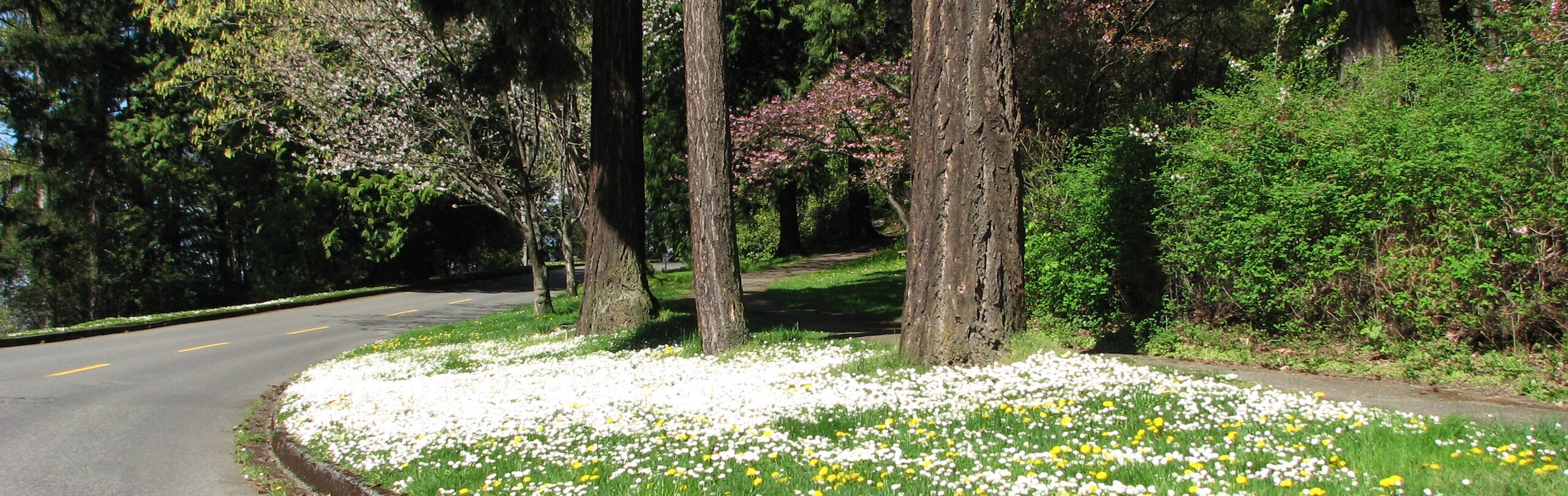 Seward_Park_banner